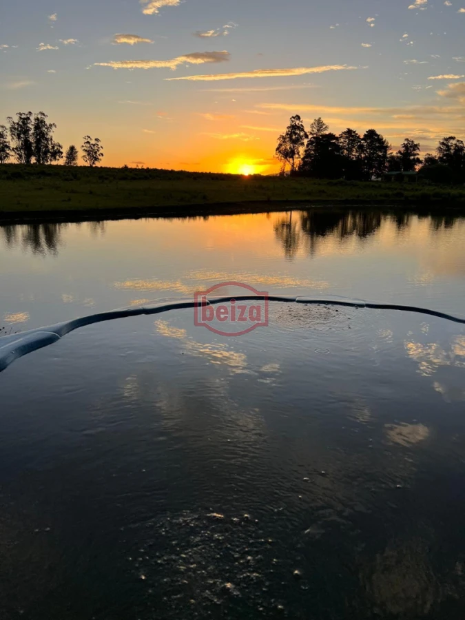 Chacra ID.167049/Chacra-en-Garzón - Venta chacra 14 ha San Carlos Maldonado