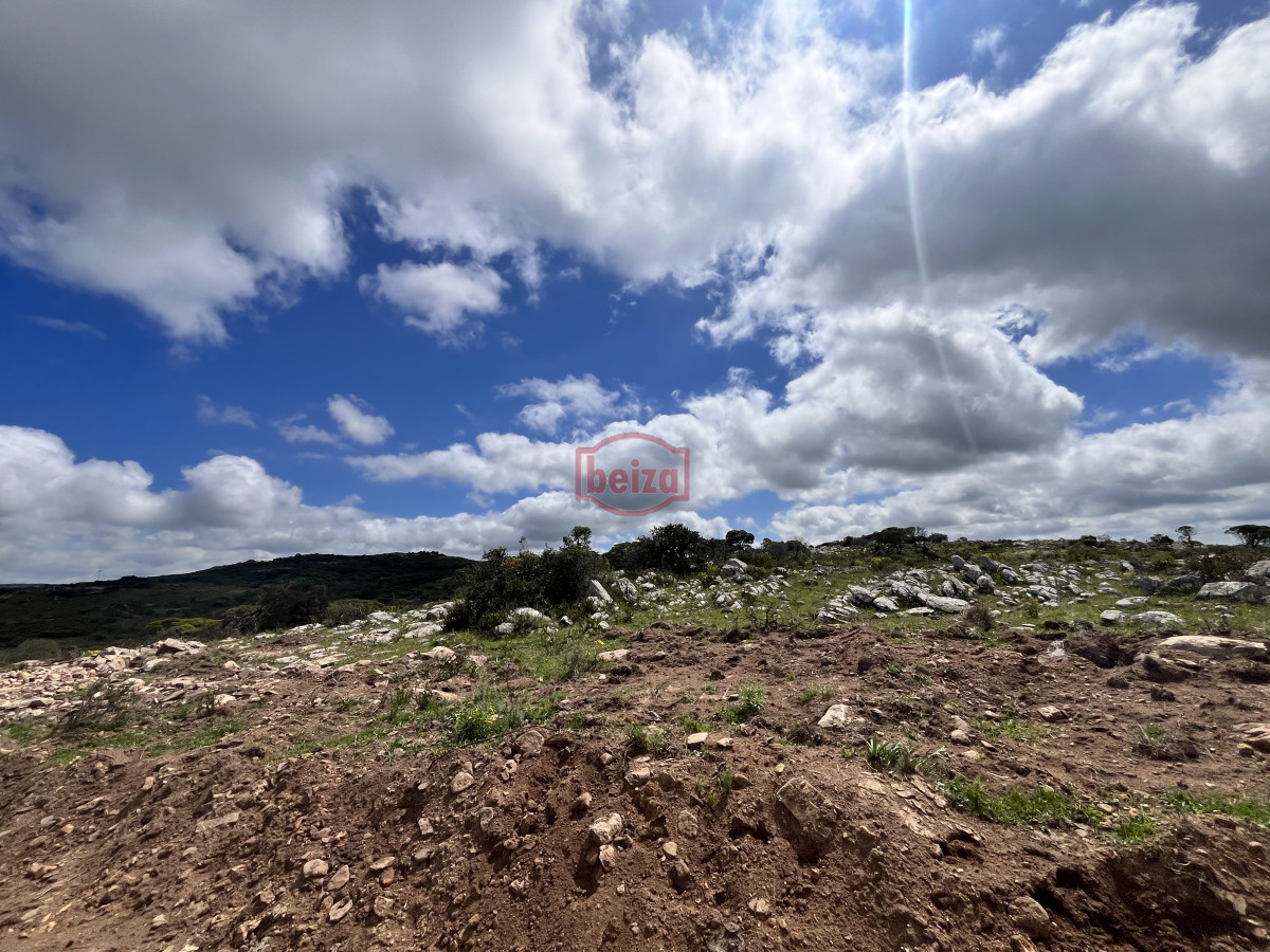 Chacra ID.166858/Venta-chacra-3-ha-proximo-ruta-39-Punta-del-Este - Venta chacra 3 ha proximo ruta 39 San Carlos Maldonado