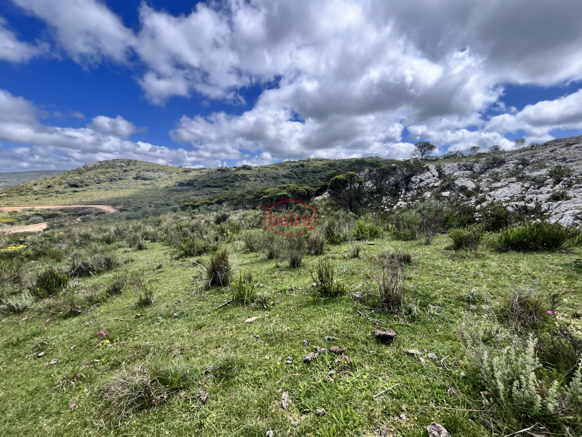 Chacra ID.166858/Venta-chacra-3-ha-proximo-ruta-39-Punta-del-Este - Venta chacra 3 ha proximo ruta 39 San Carlos Maldonado