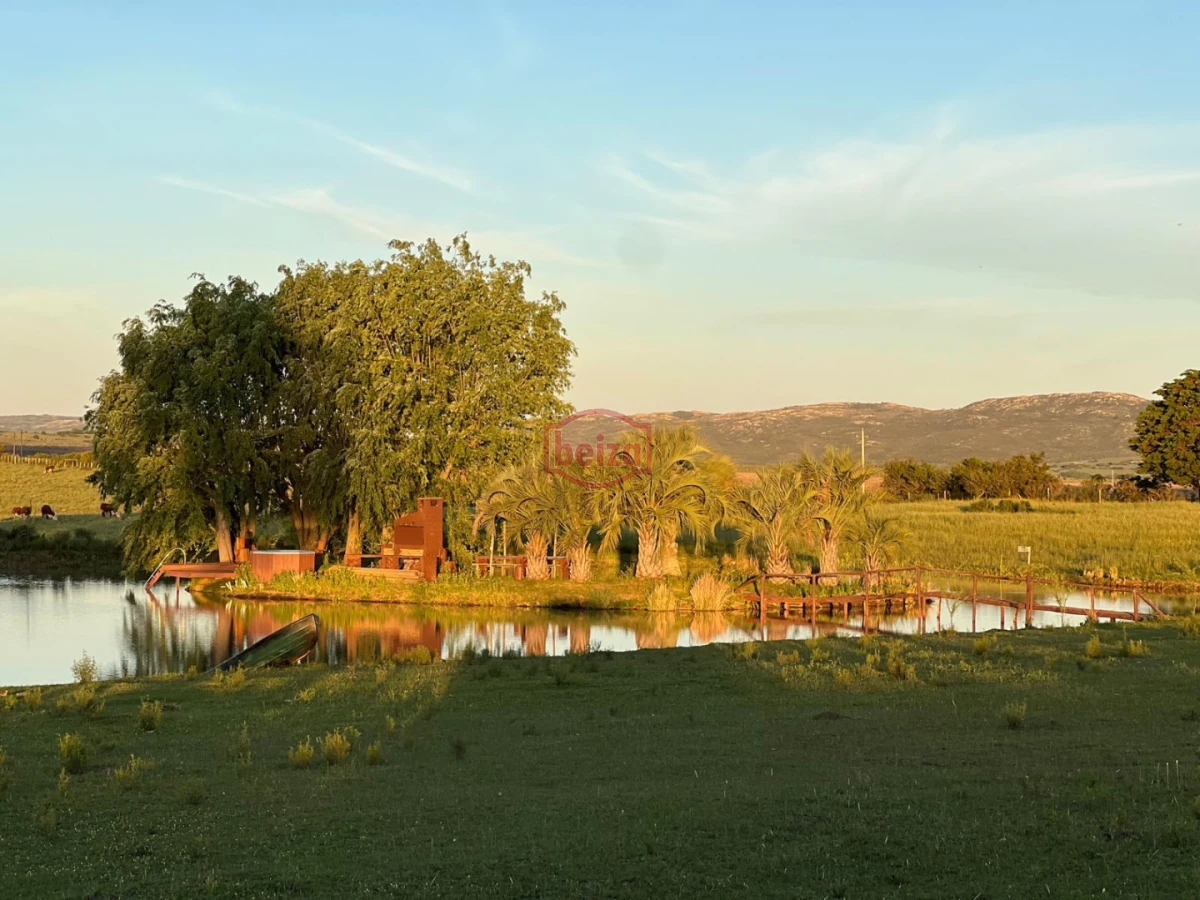 Chacra ID.167049/Chacra-en-Garzón - Venta chacra 14 ha San Carlos Maldonado