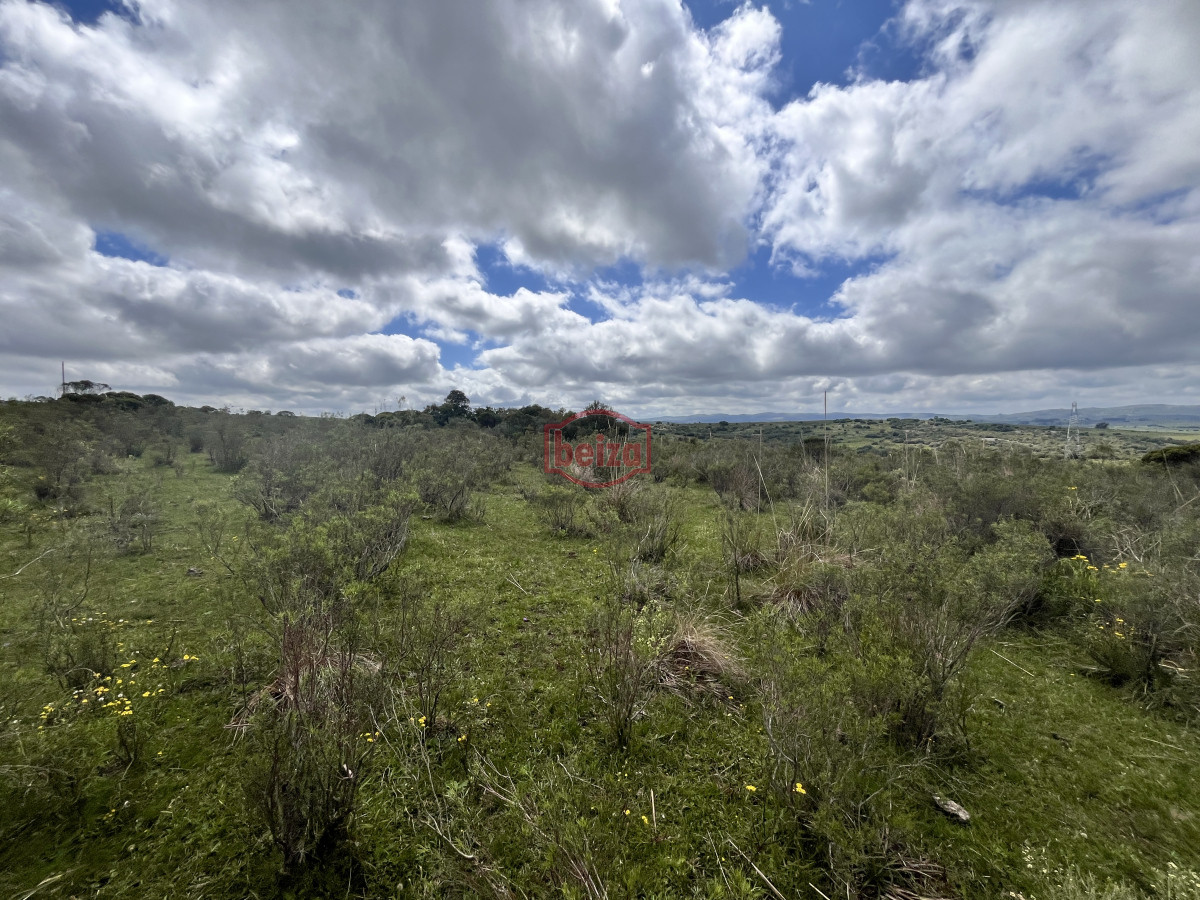 Chacra ID.166857/Venta-chacra-3ha-proximo-ruta-39-San-Carlos - Venta chacra 4,5 ha proximo a ruta 39 Maldonado