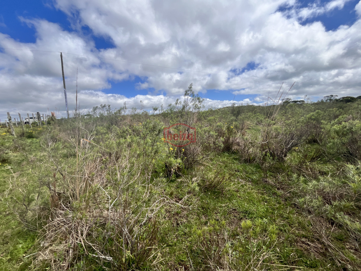 Chacra ID.166857/Venta-chacra-3ha-proximo-ruta-39-San-Carlos - Venta chacra 4,5 ha proximo a ruta 39 Maldonado
