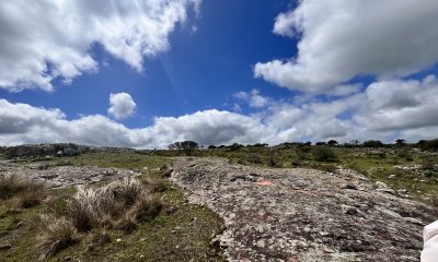 Venta chacra 3 ha proximo ruta 39 Punta del Este