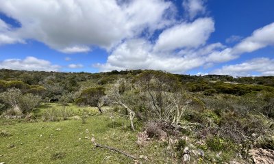 Venta chacra 3ha proximo ruta 39 San Carlos