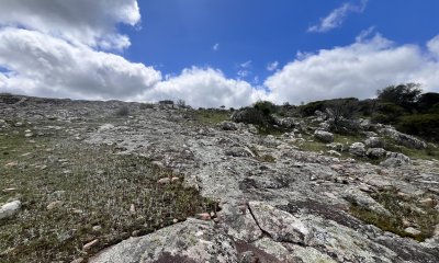 Venta chacra 3 ha proximo ruta 39 San Carlos Maldonado