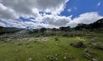 Venta chacra 3 ha proximo ruta 39 San Carlos Maldonado