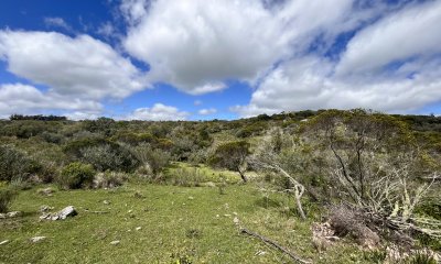 Venta chacra 3ha proxima ruta 39 Maldonado