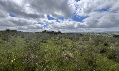 Venta chacra 4,5 ha proximo a ruta 39 Maldonado