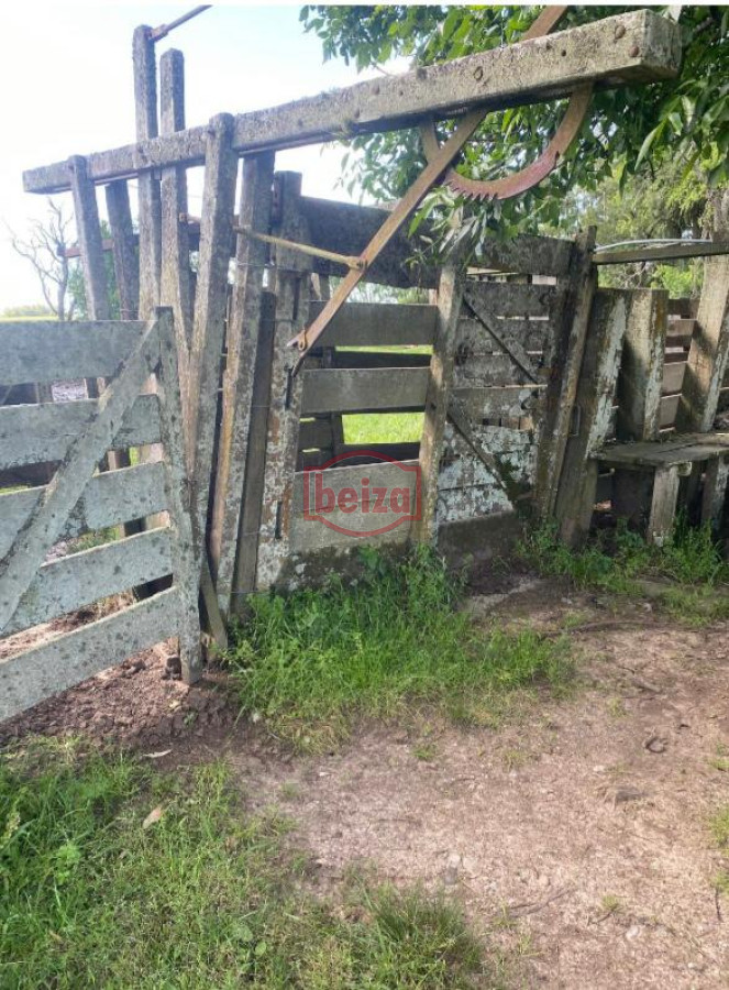 Campo Ref.166565/Campos-en-Venta--Beiza-Propiedades - Excelente campo en muy buena zona 