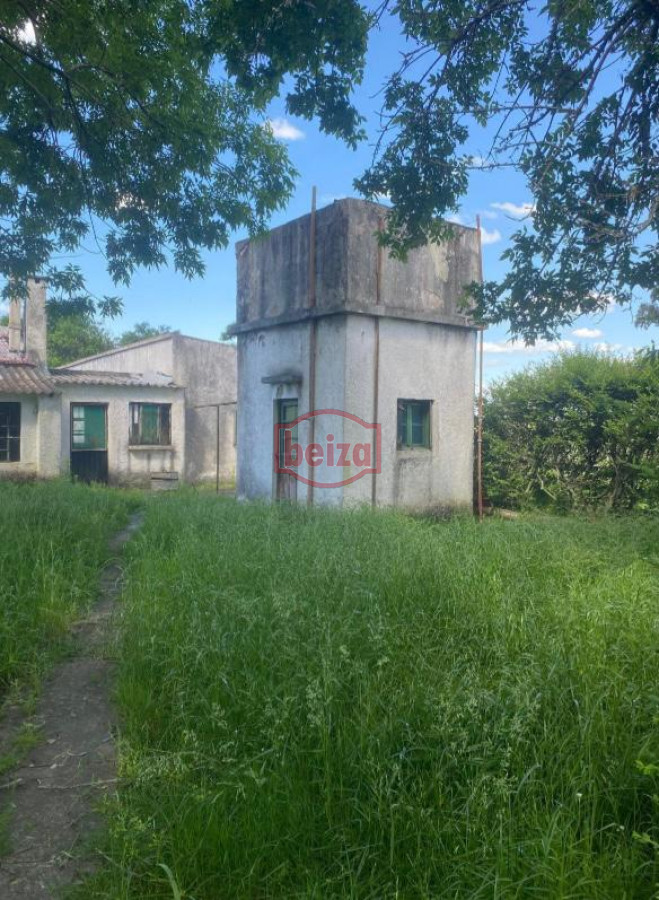 Campo Ref.166565/Campos-en-Venta--Beiza-Propiedades - Excelente campo en muy buena zona 