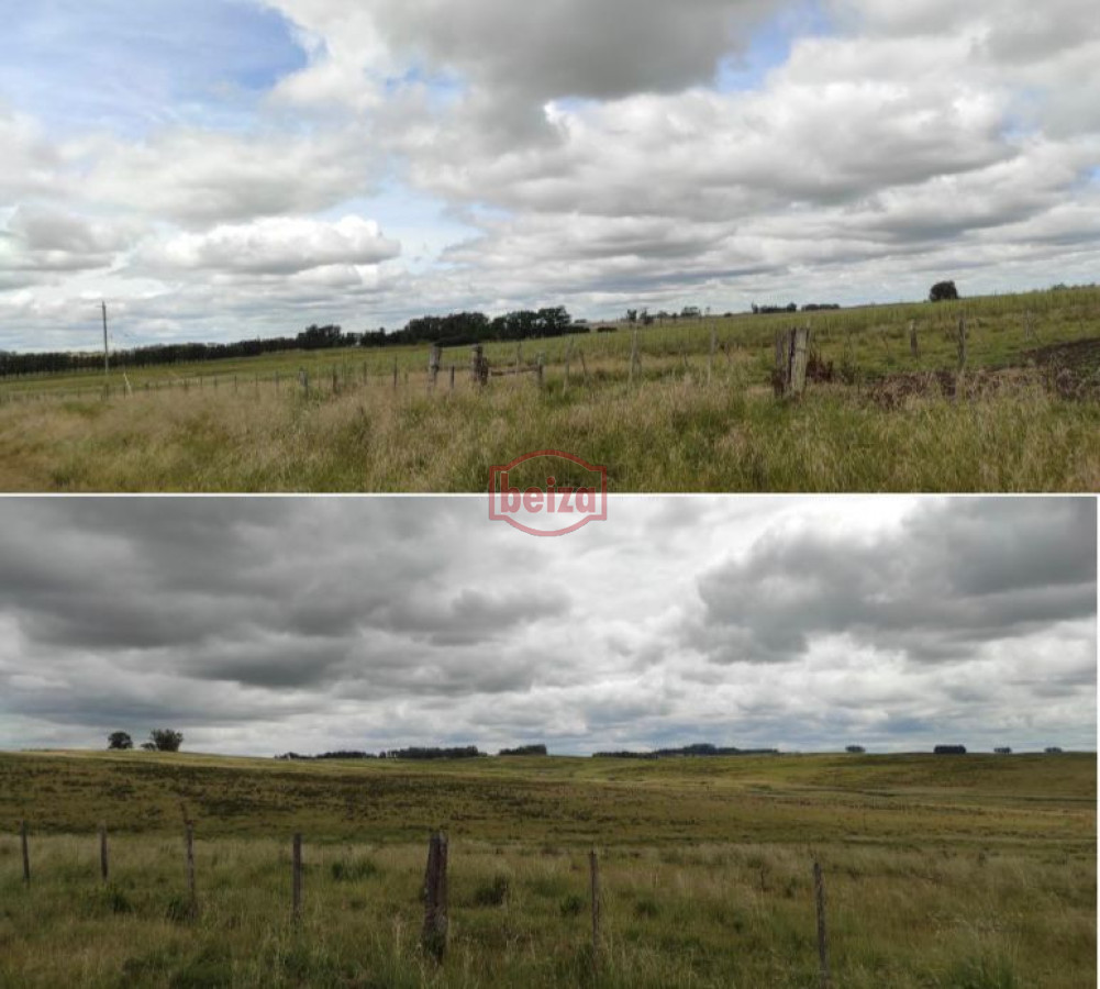 Campo Ref.166565/Campos-en-Venta--Beiza-Propiedades - Excelente campo en muy buena zona 