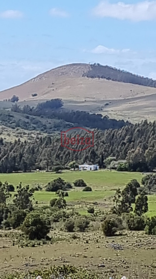 Campo Ref.166461/Excelente-campo-en-muy-buena-zona- - campo en venta