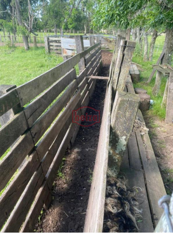 Campo Ref.166565/Campos-en-Venta--Beiza-Propiedades - Excelente campo en muy buena zona 