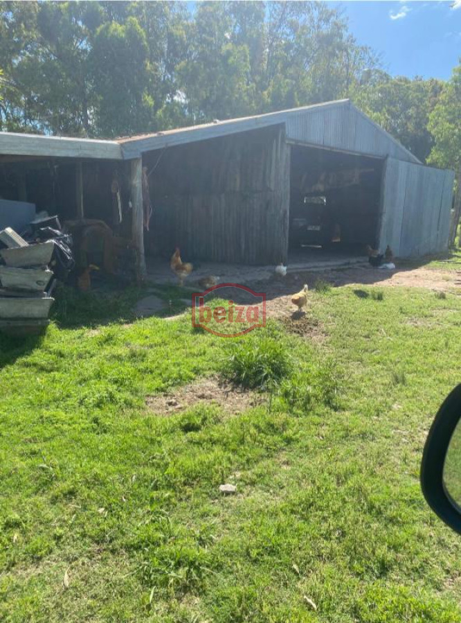 Campo Ref.166565/Campos-en-Venta--Beiza-Propiedades - Excelente campo en muy buena zona 