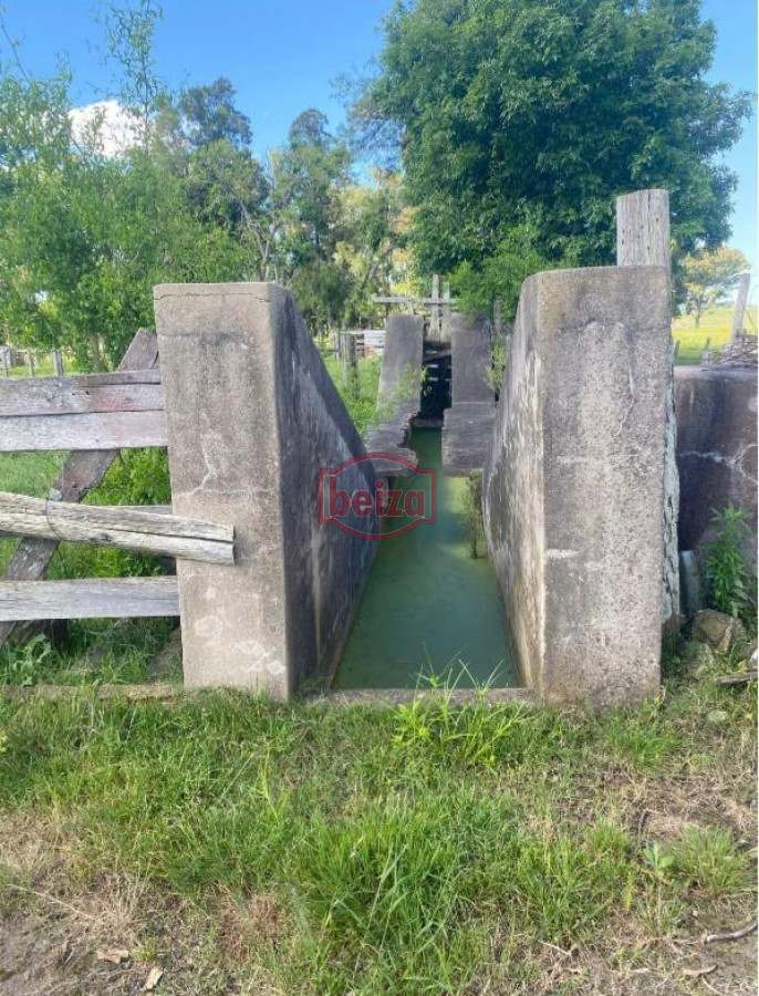 Campo Ref.166565/Campos-en-Venta--Beiza-Propiedades - Excelente campo en muy buena zona 