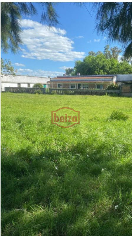 Campo Ref.166565/Campos-en-Venta--Beiza-Propiedades - Excelente campo en muy buena zona 