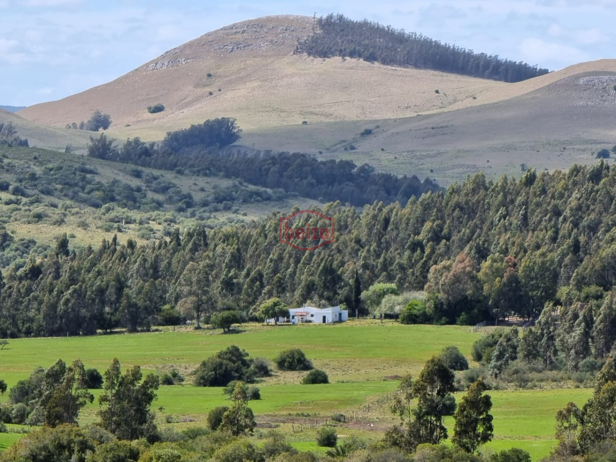 Campo Ref.166461/Excelente-campo-en-muy-buena-zona- - campo en venta