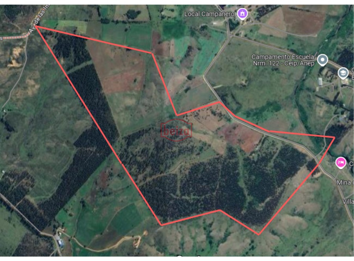 Campo Ref.166461/Excelente-campo-en-muy-buena-zona- - campo en venta