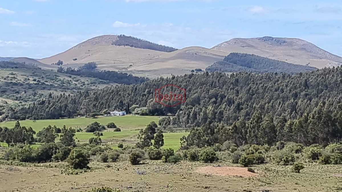 Campo Ref.166461/Excelente-campo-en-muy-buena-zona- - campo en venta