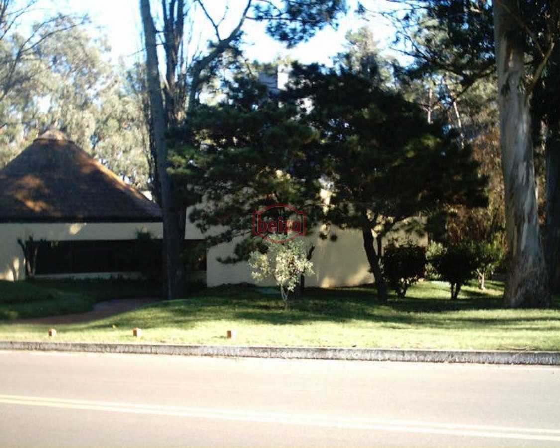 Local Comercial ID.163478/Local-comercial-en-Solanas - Local en Punta del Este, Lugano