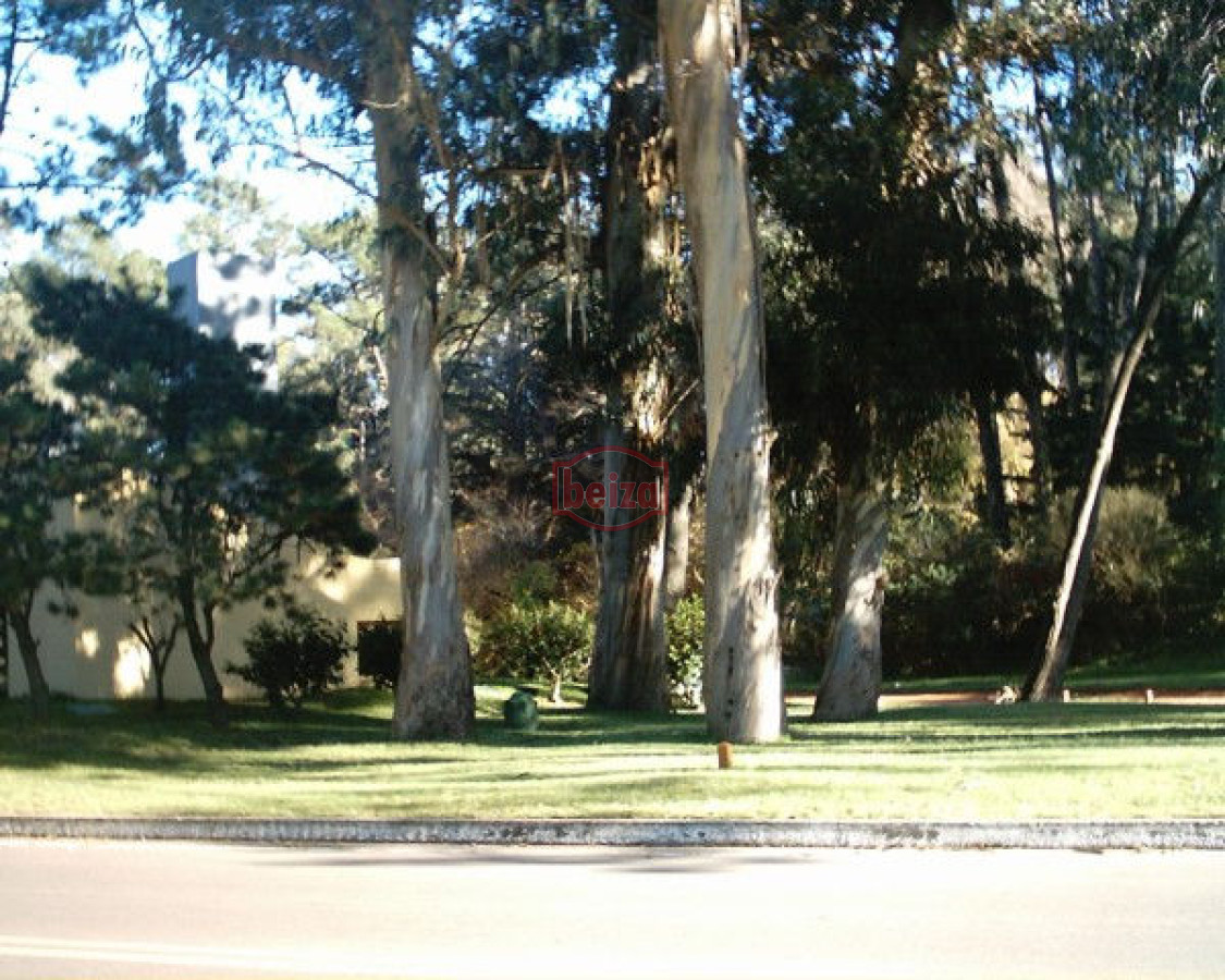 Local Comercial ID.163478/Local-comercial-en-Solanas - Local en Punta del Este, Lugano