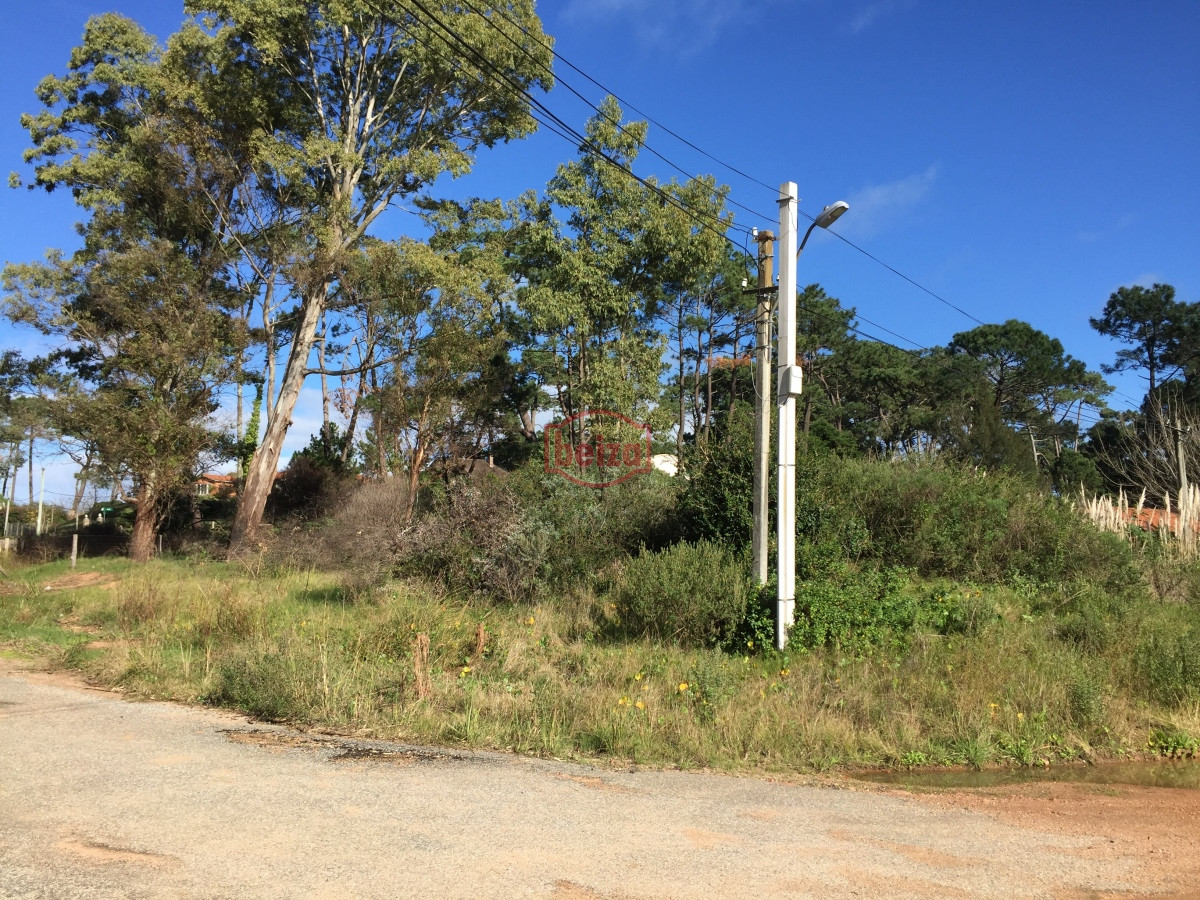 Terreno ID.166291/Terreno-apto-para-edificio,-en-Piedras-del-Chileno - venta de terreno 