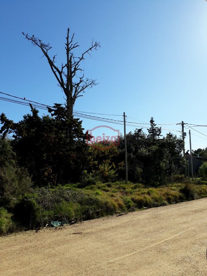 Terreno ID.163865/Terreno-próximo-a-la-costa-en-Piedras-del-Chileno - Terreno próximo a la costa en Piedras del Chileno