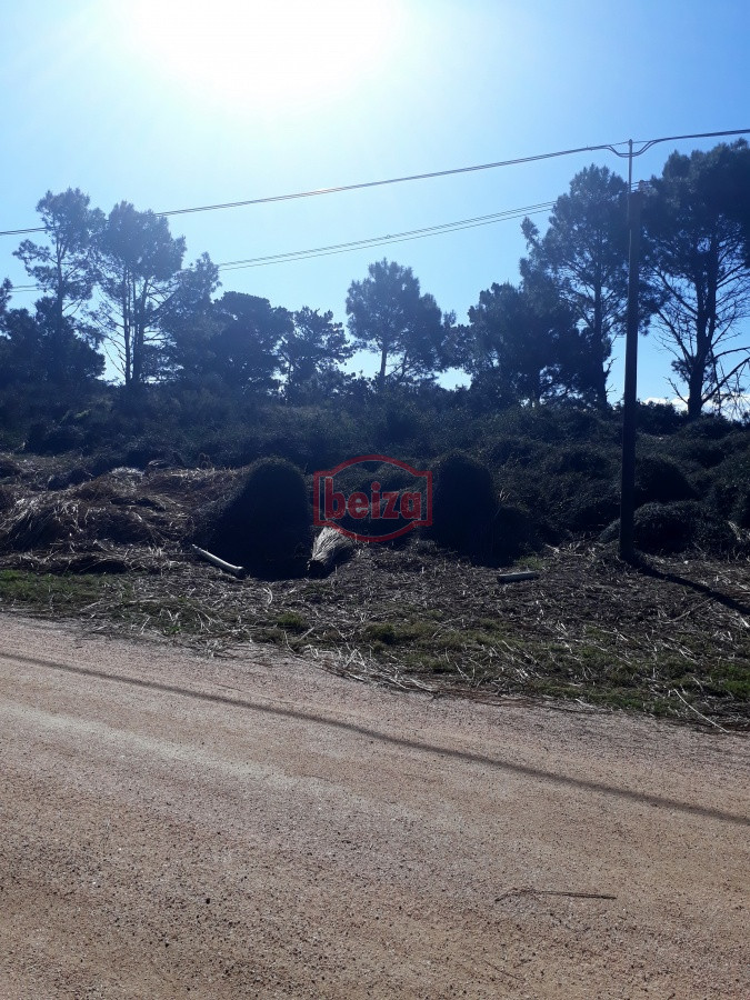 Terreno ID.163876 - Terreno apto para edificio, en Piedras del Chileno