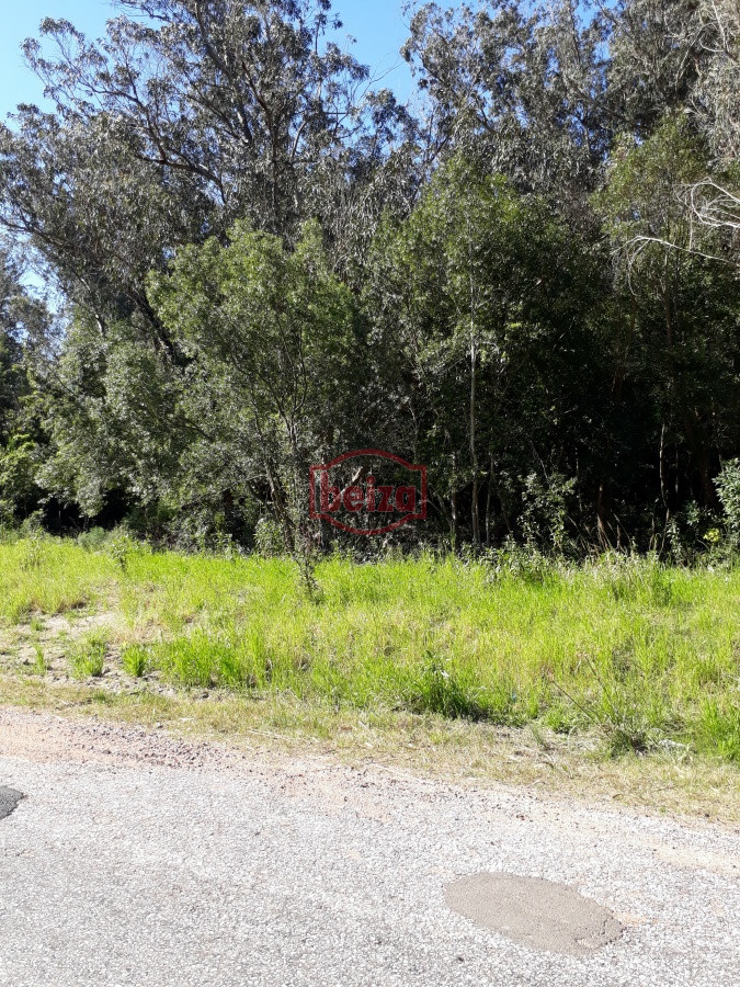 Terreno ID.163888/Terreno-apto-para-Propiedad-Horizontal-en-Rincón-del-Indio- - Terreno apto para Propiedad  Horizontal en Rincón del Indio 