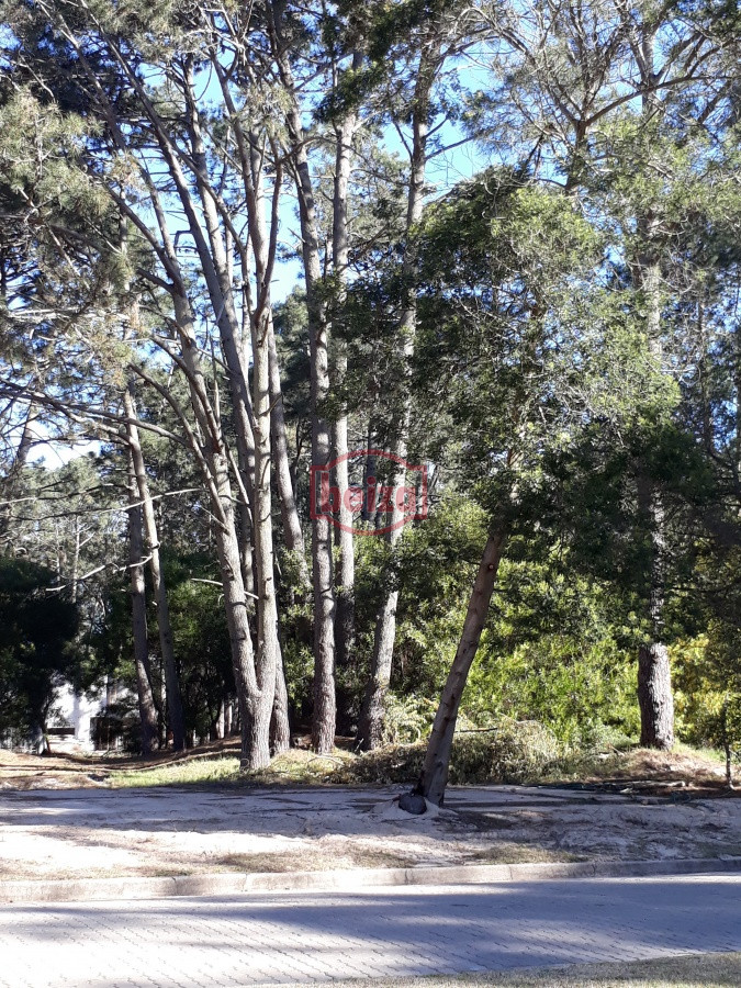 Terreno ID.163879 - Terreno en Solanas Village