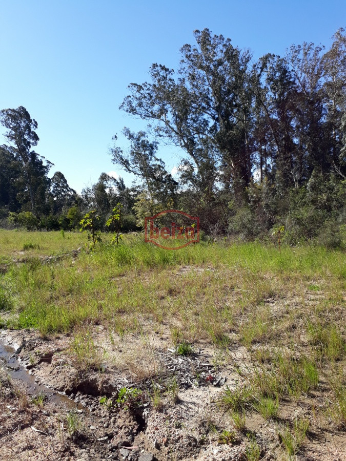 Terreno ID.163885/TERRENO-EN-BALNEARIO-BS-AS- - Terreno apto para Propiedad  Horizontal en Rincón del Indio 