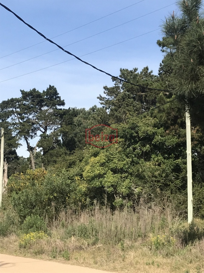 Terreno ID.163874/Terreno-apto-para-edificio,-en-Piedras-del-Chileno - Terreno próximo a la costa en Piedras del Chileno