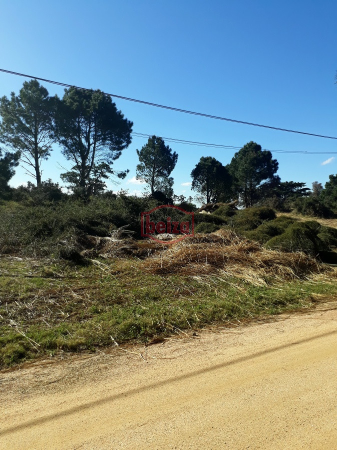 Terreno ID.163876 - Terreno apto para edificio, en Piedras del Chileno