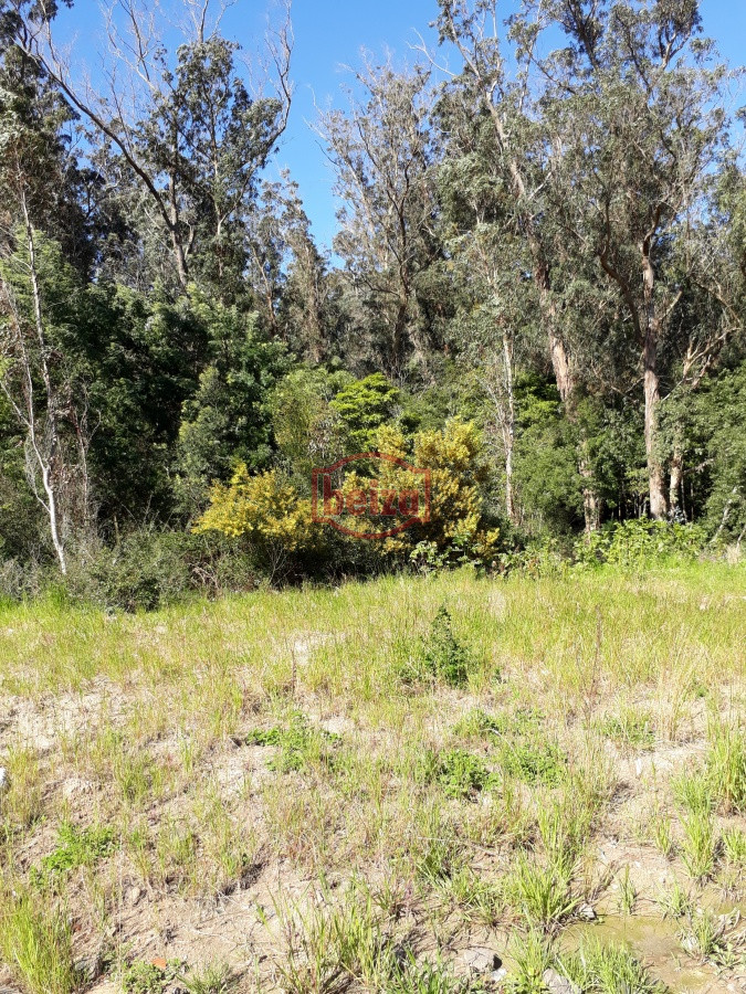 Terreno ID.163889/Terreno-apto-para-Propiedad-Horizontal-en-Rincón-del-Indio- - Terreno apto para Propiedad  Horizontal en Rincón del Indio 