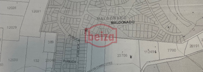 terreno en zona de auge