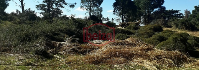 Terreno apto para edificio, en Piedras del Chileno
