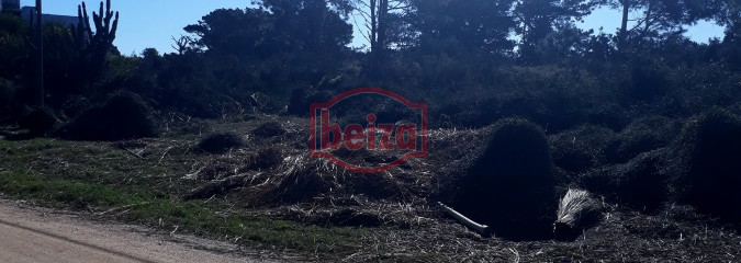 Terreno apto para edificio, en Piedras del Chileno