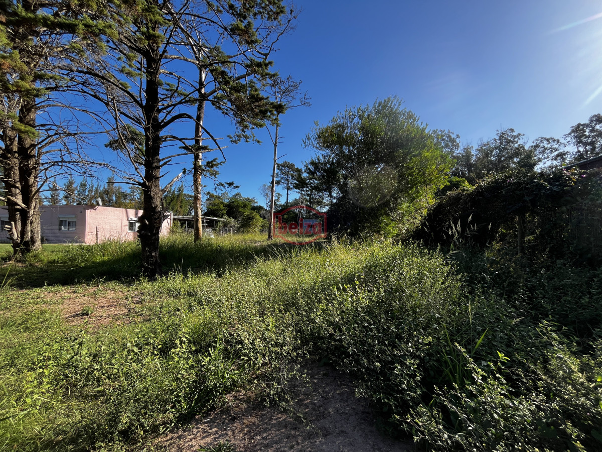 Terreno ID.166887/Terreno-próximo-a-la-costa-en-Piedras-del-Chileno - Venta terreno Ocean park maldonado