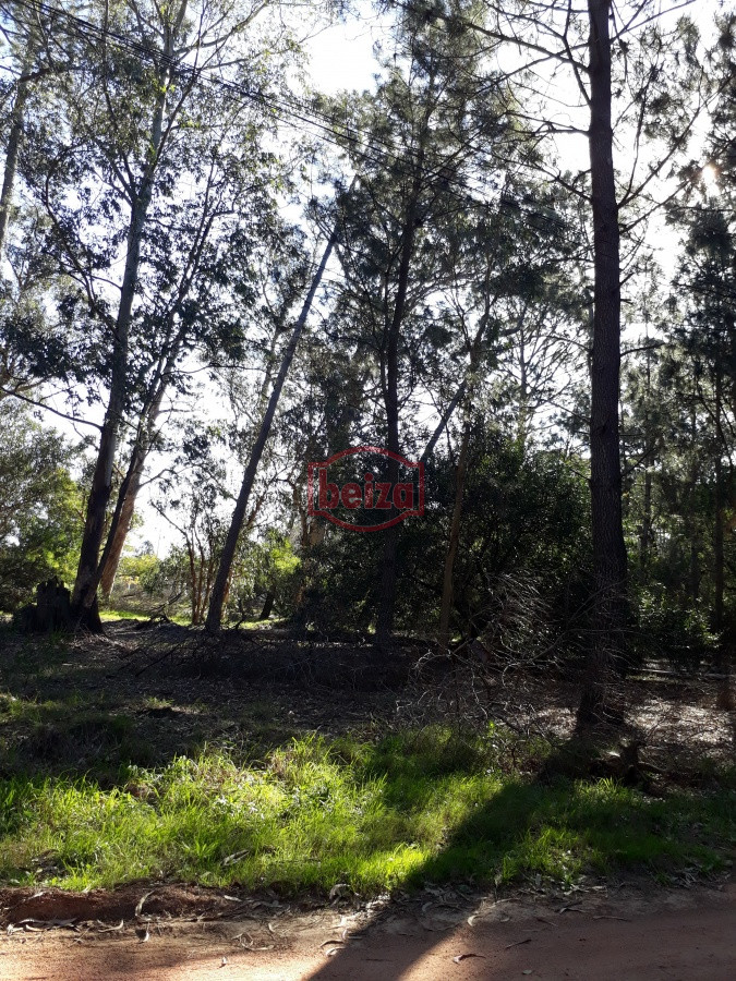 Terreno ID.163882 - Terreno en Solanas Village