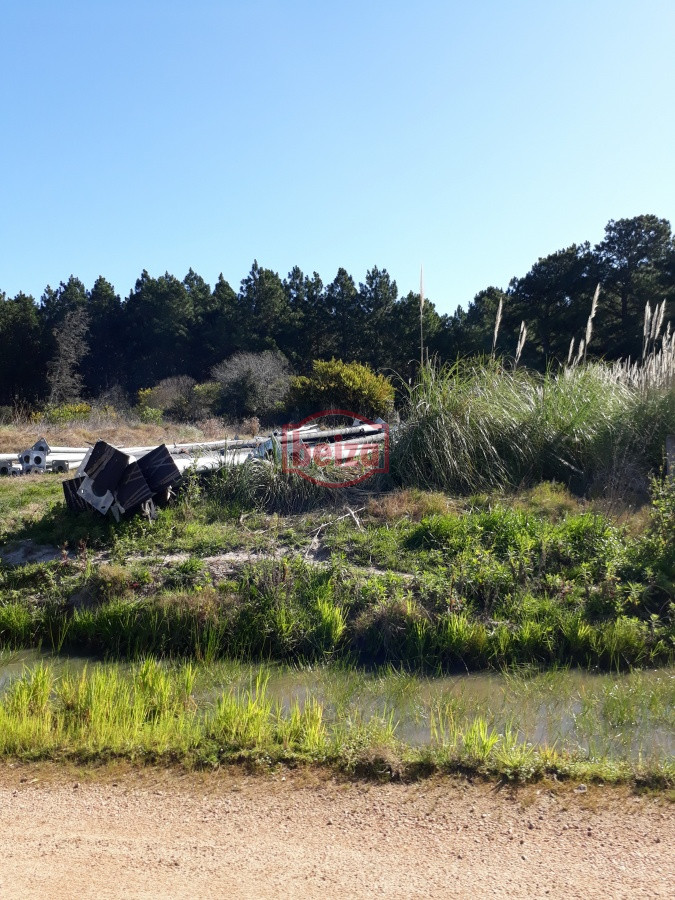 Terreno ID.163860/Terreno-en-barrio-privado--Chacras-del-Pinar- - Terreno próximo a la costa en Piedras del Chileno