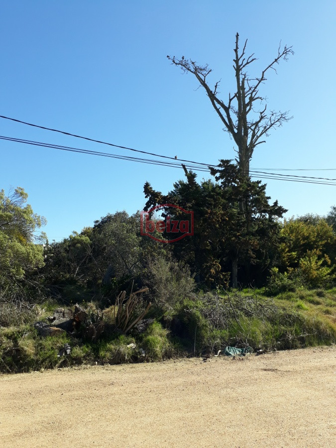 Terreno ID.163865/Terreno-próximo-a-la-costa-en-Piedras-del-Chileno - Terreno próximo a la costa en Piedras del Chileno