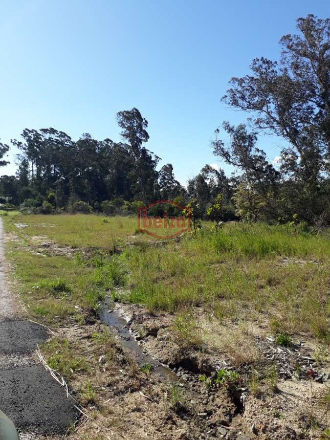 Terreno ID.163889/Terreno-apto-para-Propiedad-Horizontal-en-Rincón-del-Indio- - Terreno apto para Propiedad  Horizontal en Rincón del Indio 