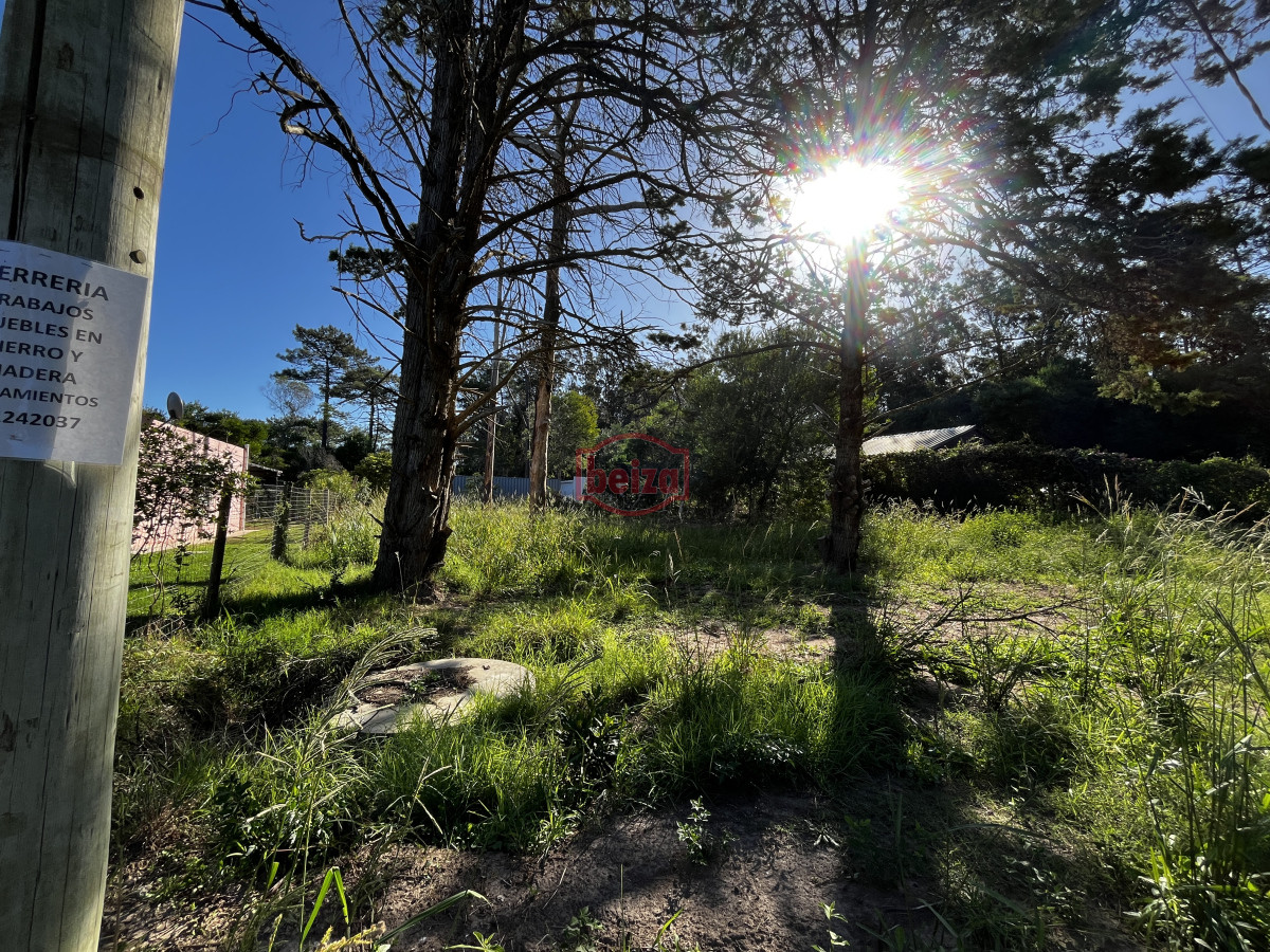 Terreno ID.166887/Terreno-próximo-a-la-costa-en-Piedras-del-Chileno - Venta terreno Ocean park maldonado