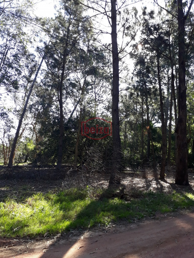 Terreno ID.163882 - Terreno en Solanas Village