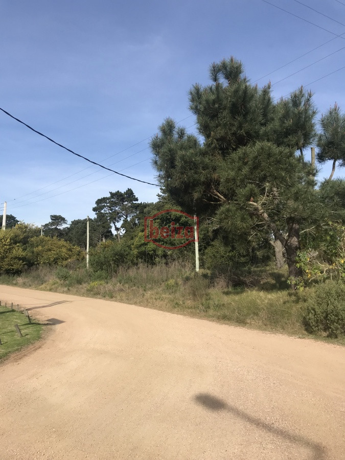 Terreno ID.163874 - Terreno próximo a la costa en Piedras del Chileno