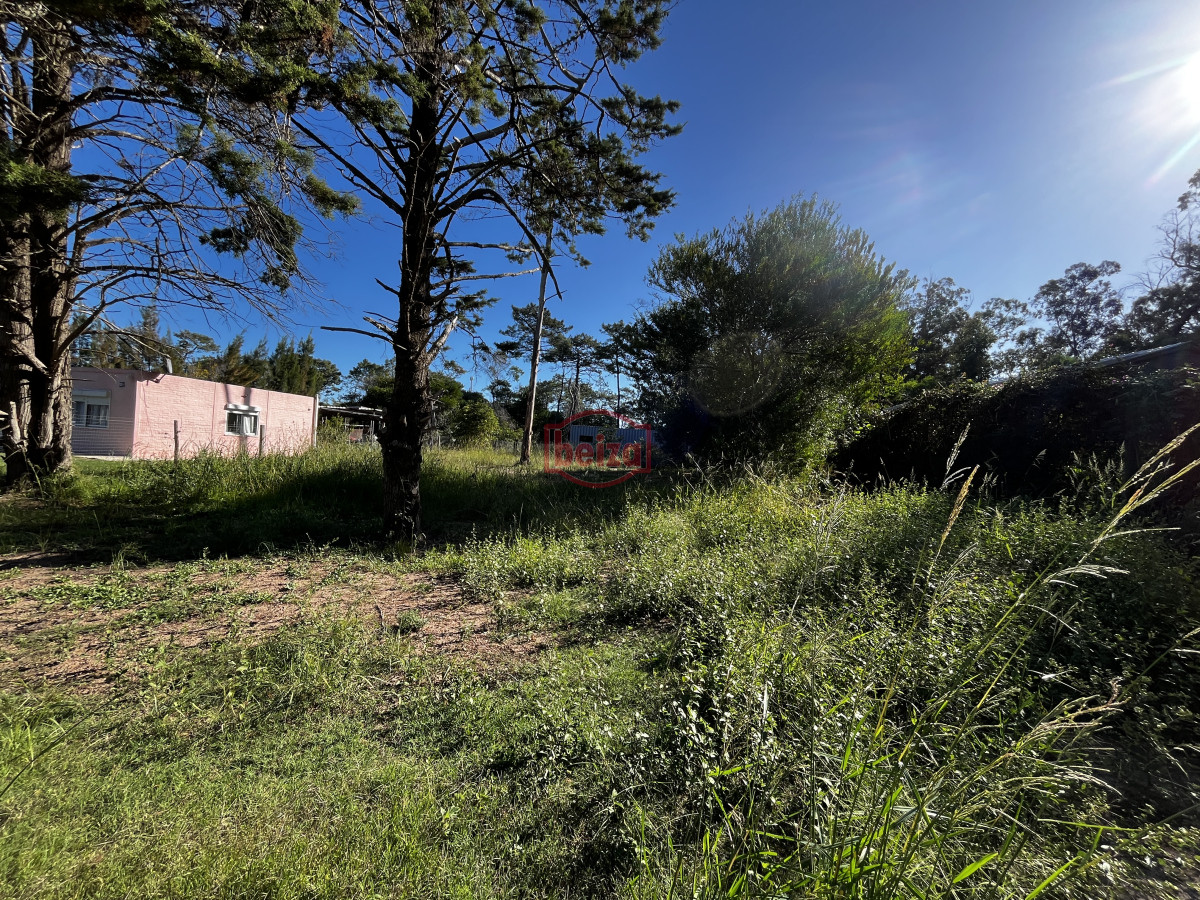 Terreno ID.166887/Terreno-próximo-a-la-costa-en-Piedras-del-Chileno - Venta terreno Ocean park maldonado