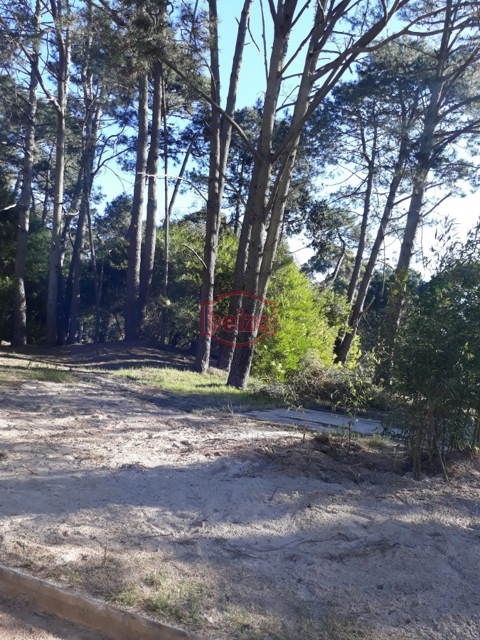 Terreno ID.163879/Terreno-apto-para-edificio,-en-Piedras-del-Chileno - Terreno en Solanas Village