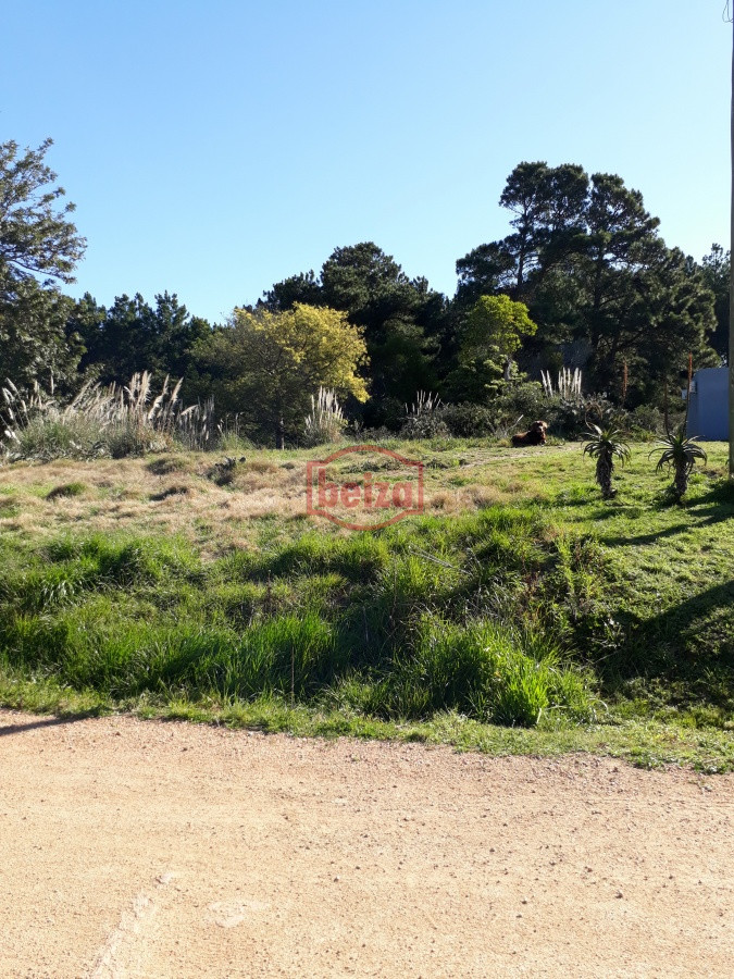 Terreno ID.163859/Terreno-apto-para-Propiedad-Horizontal-en-Rincón-del-Indio- - Terreno próximo a la costa en Piedras del Chileno