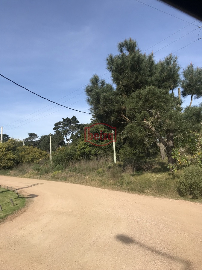 Terreno ID.163872/Terreno-apto-para-edificio,-en-Piedras-del-Chileno - Terreno próximo a la costa en Piedras del Chileno 