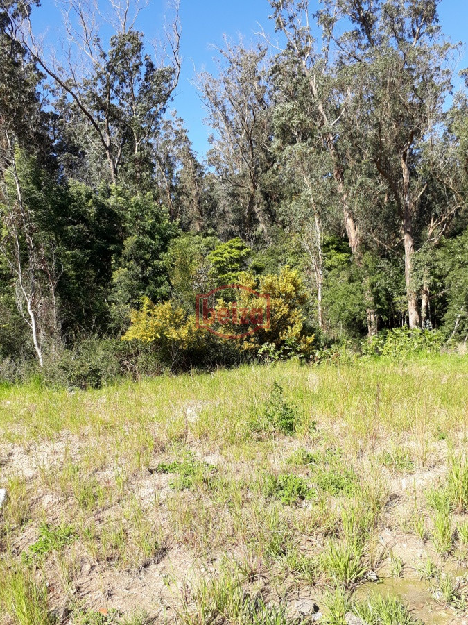 Terreno ID.163885/TERRENO-EN-BALNEARIO-BS-AS- - Terreno apto para Propiedad  Horizontal en Rincón del Indio 